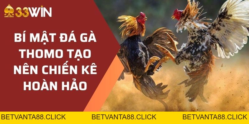 Document - betvanta88.click