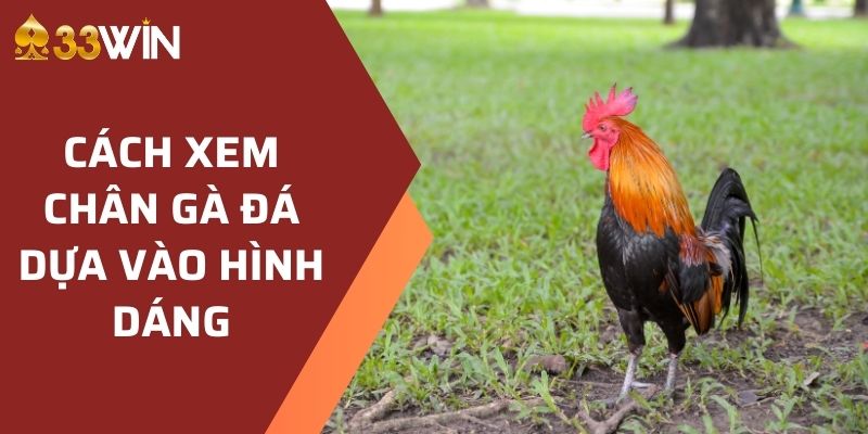 Document - betvanta88.click