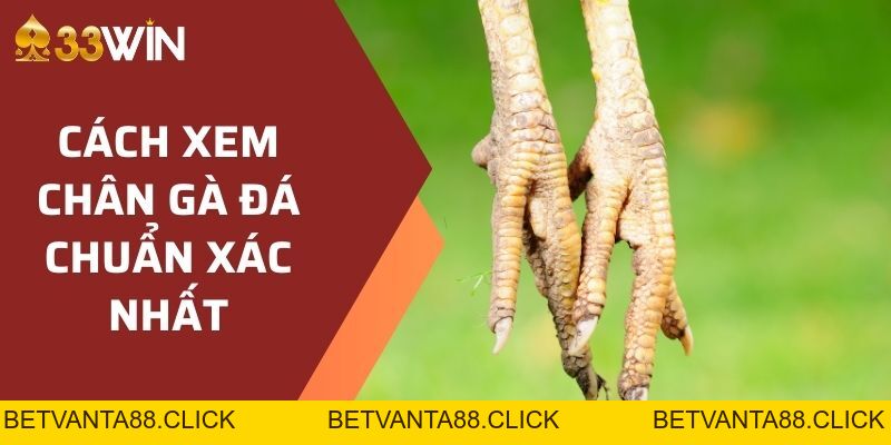 Document - betvanta88.click