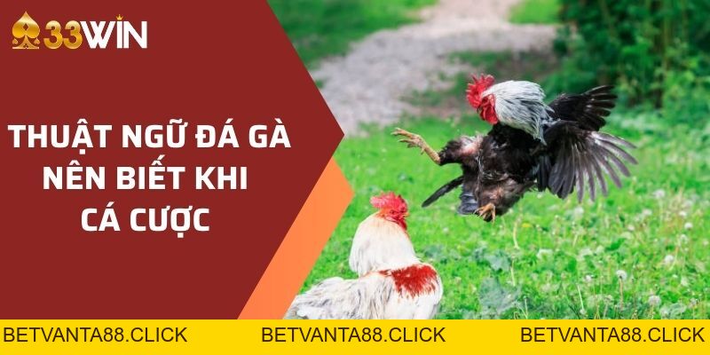 Document - betvanta88.click