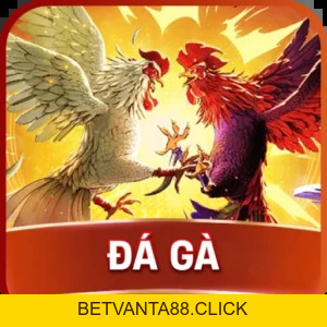 Document - betvanta88.click